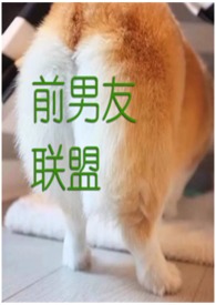 前男友联系自己的处理办法